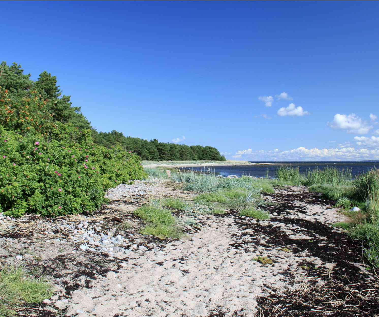 Naissaar Island